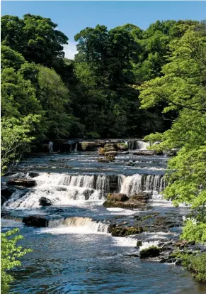  ?? WHERE INSPIRATIO­N STRIKES ?? Ruskin, Turner and Wordsworth all loved Aysgarth Falls; take a walk here and you’ll understand the spell it cast over them.