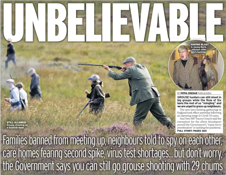  ??  ?? STILL ALLOWED Grouse shooting on a Scottish moor