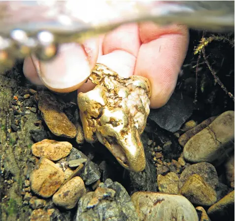  ??  ?? The nugget, claimed to be the largest found in UK for 500 years, was found using a method called ‘sniping’, top left. However, it could be claimed by The Crown Estate