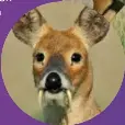  ??  ??