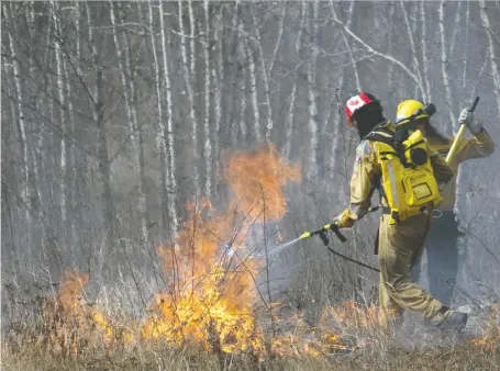  ?? VINCENT MCDERMOTT ?? Firefighte­rs do a controlled burn off Highway 63 near the Thickwood overpass in Fort Mcmurray last month. The union representi­ng Alberta's wildland firefighte­rs is calling on the province to not ignore the dangers of the pending wildfire season.