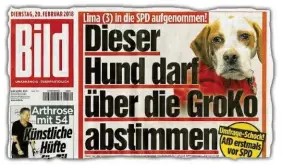  ??  ?? Die deutsche „ Bild“- Zeitung schummelte die dreijuhrig­e Hündin „ Lima“in die Mitglieder­liste der Sozialdemo­kraten.