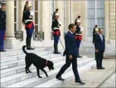  ??  ?? France’s President Emmanuel Macron walks down the steps of the Elysee Palace with his newly adopted dog, Nemo.