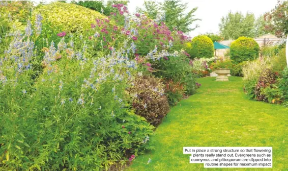  ??  ?? Put in place a strong structure so that flowering plants really stand out. Evergreens such as euonymus and pittosporu­m are clipped into routine shapes for maximum impact