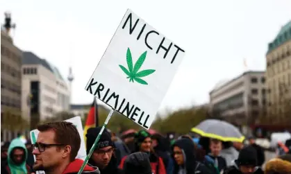  ?? ?? The German government’s official motivation for legalisati­on is to break up the illegal cannabis trade. Photograph: Lisi Niesner/Reuters
