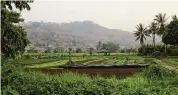  ?? Elaine Kurtenbach/Associated Press ?? Farmers tend fields in stifling temperatur­es as hills are choked by smoke from field and hill fires in Laos, where financial officials of the Associatio­n of Southeast Asian Nations met Friday.