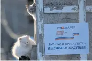  ?? AFP ?? Cats sit next to a poster announcing the presidenti­al election in the village of Borok, some 20km north of Smolensk on Saturday.