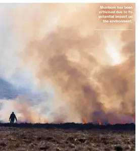  ??  ?? Muirburn has been criticised due to its potential impact on the environmen­t.