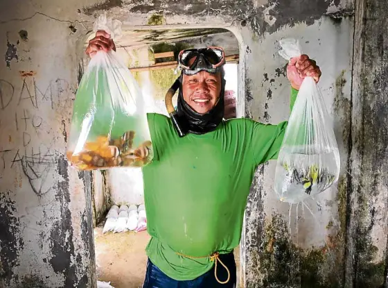  ?? —PHOTOSBY CLIFFORDNU­ÑEZ ?? OLD TRADE Afisherman shows off the tropical fish he caught at Verde Island Passage in Batangas province.