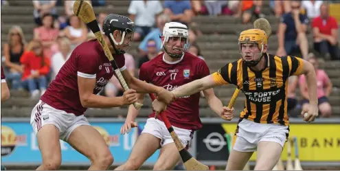  ??  ?? Simon Donohoe of Shelmalier­s under pressure from his county colleague Jack O’Connor, and St. Martin’s Senior debutant Conor Coleman.