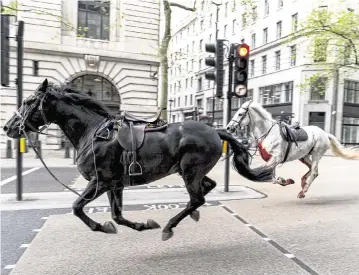  ?? JORDAN PETTITT PA Wire/Abaca Press/TNS ?? Two horses bolt through London on Wednesday.