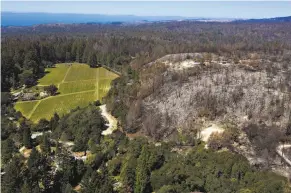  ?? LiPo Ching / Special to The Chronicle ?? Land untouched by the 86,000acre CZU Lightning Complex fires, which burned in August 2020, is shown near Pine Flat and Bonny Doon roads in Santa Cruz.