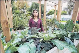  ?? JULIE JOCSAK
THE ST. CATHARINES STANDARD ?? Yaneth Londono, executive director of Links for Greener Learning, is photograph­ed in its garden last October.