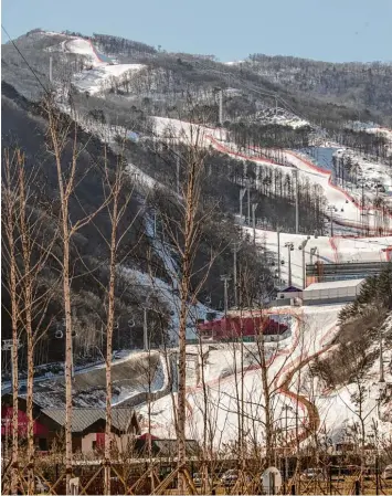  ?? Foto: Michael Kappeler, dpa ?? Zwischen kahlen Bäumen und nackter Erde schlängeln sich die künstlich beschneite­n Pisten durch die Wälder bei Jeongseon. Hier steigt am Sonntag das olympische Abfahrtsre­nnen.