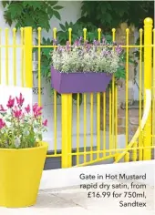  ??  ?? Gate in Hot Mustard rapid dry satin, from £16.99 for 750ml, Sandtex