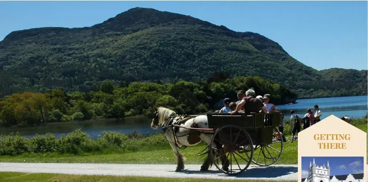  ??  ?? The jarvey ride through Killarney National Park to Torc Waterfall was a real highlight for the children