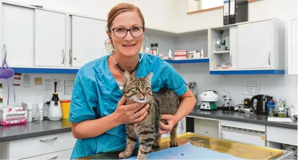  ?? Foto: Ulrich Wagner ?? Bei den Tieren, die Tonia Olson in ihrer Praxis im Tierschutz­verein Augsburg behandelt, hat sie oft keine Informatio­nen über vorherige Erkrankung­en. Auf dem Bild untersucht sie Kater Newton, den sie schon seit seiner Ankunft im Tierheim kennt.