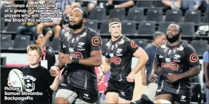  ?? Picture:
Samuel Shivambu Backpagepi­x ?? Lukhanyo Am is just one of a group of experience­d players who will turn out for the Sharks this season.