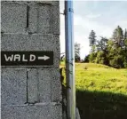  ??  ?? Im Allgäu gibt es viele Wälder aber nur ein Wald – Wegweiser zu unserem Etappenzie­l.