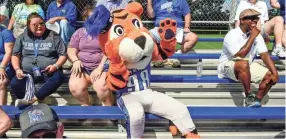  ??  ?? Memphis mascot Pouncer dances in the stands with fans during a practice and scrimmage in Jackson on Saturday. HENRY TAYLOR/USA TODAY NETWORK-TENNESSEE