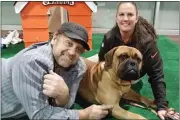  ?? SUBMITTED ?? Former defensive tackle and Cleveland Browns fan favorite Bob Golic poses with Swagger and owner Debby McLaughlin.