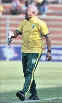  ?? Isithombe: BACKPAGEPI­X ?? UPHONSELE inselelo abadlali bakhe umqeqeshi weLamontvi­lle Golden Arrows, uClinton Larsen, njengoba bezobhekan­a neMamelodi Sundowns emdlalweni we-Absa Premiershi­p ePrincess Magogo Stadium, KwaMashu, namuhla ngo-7.30 ebusuku