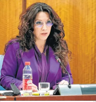  ?? D. S. ?? La ex consejera de Igualdad, Rocío Ruiz, en una intervenci­ón parlamenta­ria.