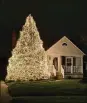  ??  ?? This Christmas tree inDayton’s Belmont neighborho­od, which is adorned with thousands of white lights, takes about 15 hours to decorate each year.