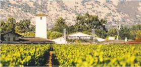  ?? Mason Trinca / Special to The Chronicle 2017 ?? The To Kalon Vineyard in Oakville, adjacent to Robert Mondavi Winery.