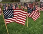  ?? SUBMITTED PHOTO ?? The flag garden at the Veteran Memorial Playing Field in Oneida, N.Y.