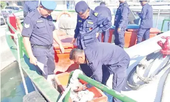  ??  ?? MOF personnel inspecting the fish that were kept inside a barrel at the Kudat ferry terminal.