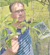  ?? FOTO: LOTHAR BERNS ?? ThomasBrau­nim Obstsorten­garten am Kloster Knechtsted­en. Der DiplomLand­schaftsöko­loge befasst sich intensiv mit alten Sorten.