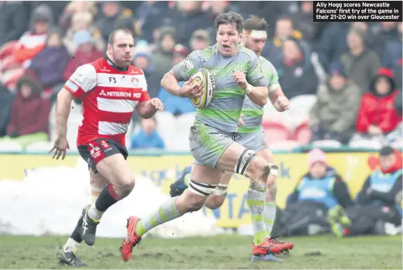  ??  ?? Ally Hogg scores Newcastle Falcons’ first try of the game in their 21-20 win over Gloucester