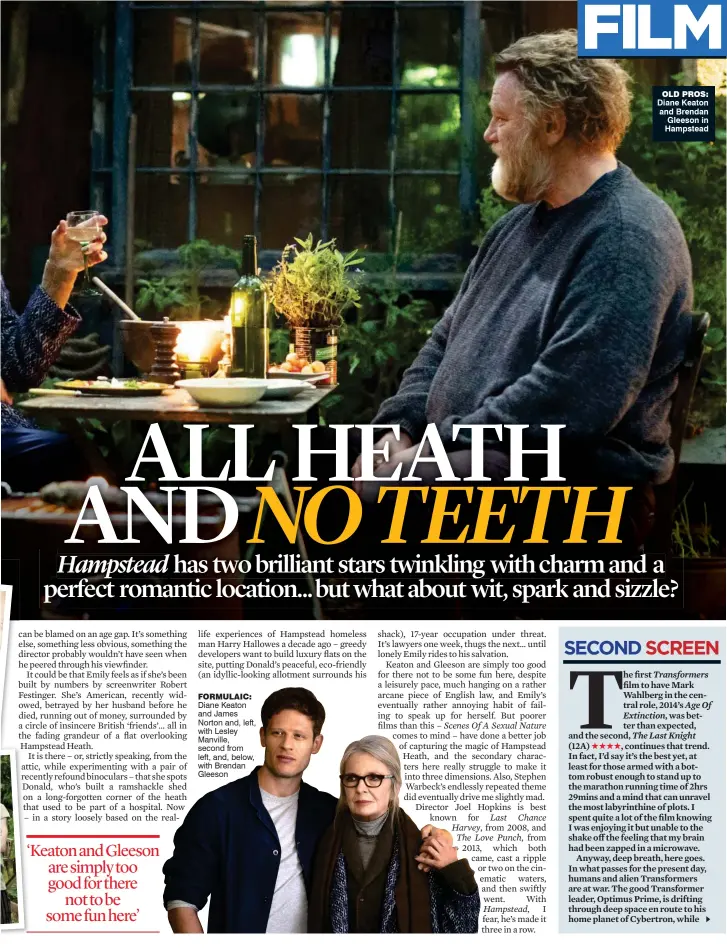  ??  ?? formulaic: Diane Keaton and James Norton and, left, with Lesley Manville, second from left, and, below, with Brendan Gleeson old pros: Diane Keaton and Brendan Gleeson in Hampstead