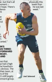  ??  ?? Joel Selwood