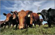  ?? Calgary Herald/files ?? Japan will allow imports of beef from cows up to 30 months old, from Feb. 1.
