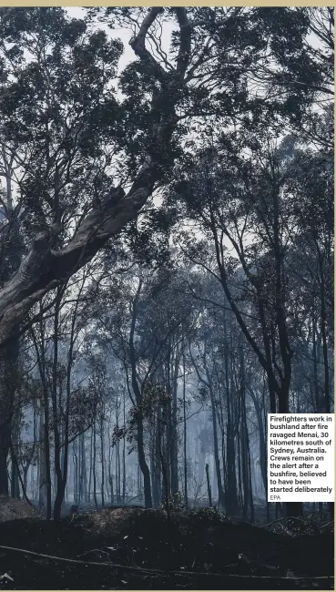  ?? EPA ?? Firefighte­rs work in bushland after fire ravaged Menai, 30 kilometres south of Sydney, Australia. Crews remain on the alert after a bushfire, believed to have been started deliberate­ly