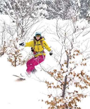  ??  ?? Un bon fond et 40 cm de neige fraîche, l’idéal pour tailler des courbes serrées en forêt.