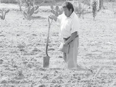  ?? /ARCHIVO: EL SOL DE TLAXCALA ?? La Sader estudiará los suelos de la entidad, para formular un mapeo que permita mejorar la productivi­dad de maíz, frijol y hortalizas