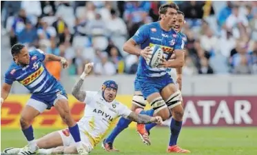 Portugal will try to move the Boks around - PressReader