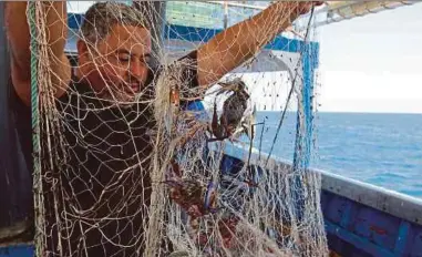  ?? AFP PIC ?? A Tunisian fisherman catching blue crabs off the coastal city of Zarzis recently.