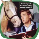  ?? ?? Alanyoung with the famous talking horse in Mister Ed