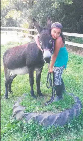  ?? Photo / Supplied ?? One of the Hope Rising Farm students with Huey the friendly donkey.