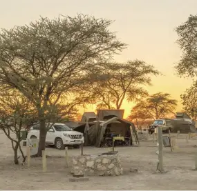  ??  ?? ABOVE At dawn in Okaukuejo get down to the camp’s waterhole. TOP Permanent water spots in Etosha are busier than a sports bar during a rugby test match, with as varied a clientele. And just like crowded bars, size tends to dictate who gets to drink first.
