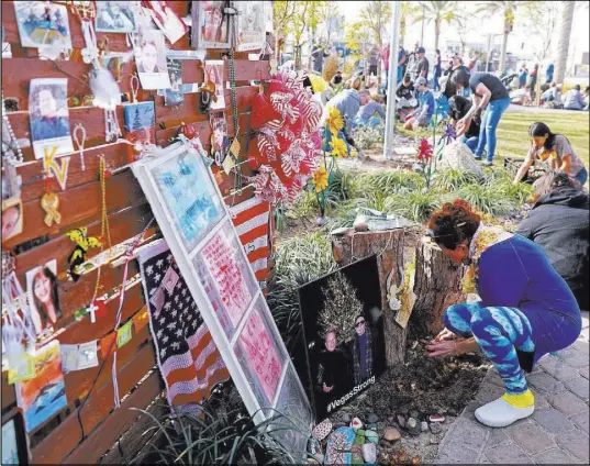  ?? Andrea Cornejo Las Vegas Review-Journal @DreaCornej­o ?? Volunteer Suzanne Kloud, of Las Vegas, helps plant 10,000 daffodils Saturday at the Community Healing Garden on the Strip.