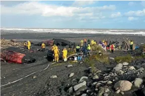  ?? CATHERINE GROENESTEI­N/STUFF ?? Work is under way to remove the bones from some of the whales that lie on the beach at Kaupokonui, before their bodies are buried.