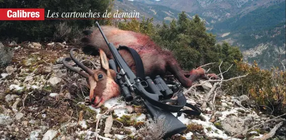  ??  ?? Ces deux calibres très précis et peu sensibles au vent latéral sont très appréciés des chasseurs en montagne.