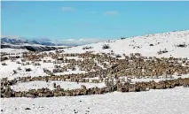  ?? PHOTO: GEORGE EMPSON ?? Snow storms and feeding out are all part of the winter routine for high country farmers.