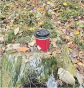  ?? JENN MCCALLUM ?? We are lucky to live in an area with plenty of nature to explore. Help protect it: don’t leave waste, like coffee cups, snack wrappers, or tissues behind. Carry waste out and dispose of it properly.