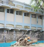  ?? Teresa.canino@gfrmedia.com ?? Las ramas de un árbol destrozaro­n parte de la verja del centro educativo, que tiene una matrícula de 174 estudiante­s.